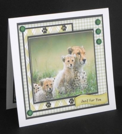 Leopard and Young  by Joan Prince