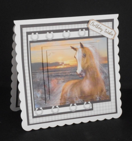 Beautiful Horse in the Sunset  by Joan Prince