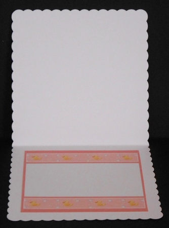 NEW BABY BOY & NEW BABY GIRL 7.5 Blue & Pink Blank Inserts by Joan Prince