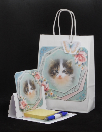 White and grey cat by Joan Prince