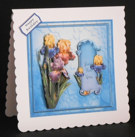 Flag Iris Just For You Mini Kit 7x7 by Joan Prince