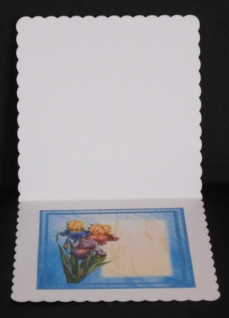 Flag Iris Just For You Mini Kit 7x7 by Joan Prince