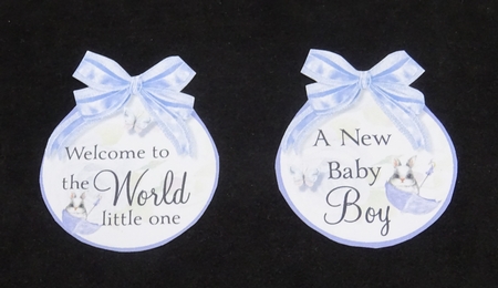Welcome to the World Baby Boy by Joan Prince