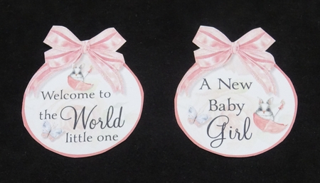 Welcome to the World Baby Girl by Joan Prince