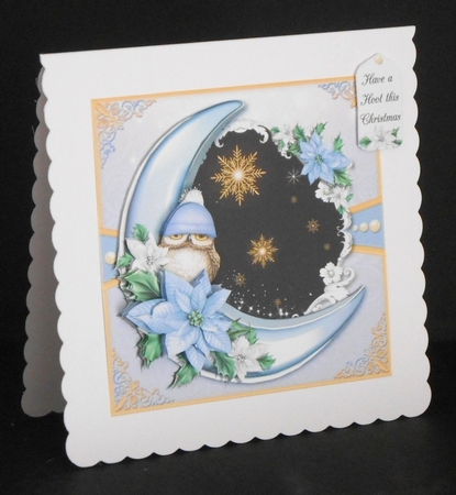 Have a Hoot this Christmas by Joan Prince