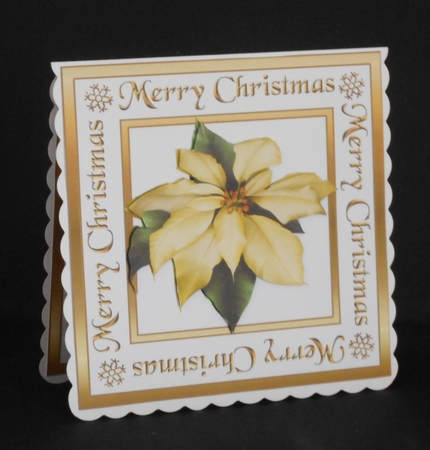 White Poinsettia square by Joan Prince