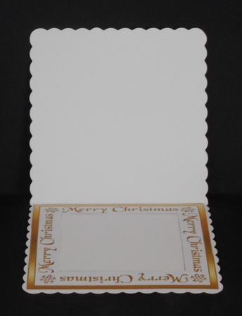 White Poinsettia square by Joan Prince