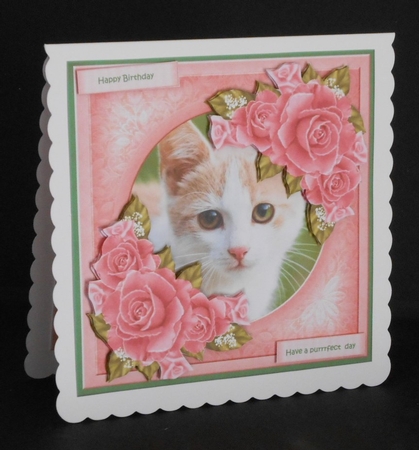 Purrrfect Pink Roses Mini Kit by Joan Prince