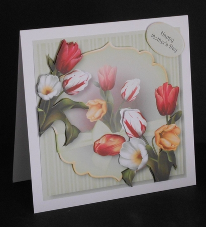 Multicoloured Tulips Beauty by Joan Prince