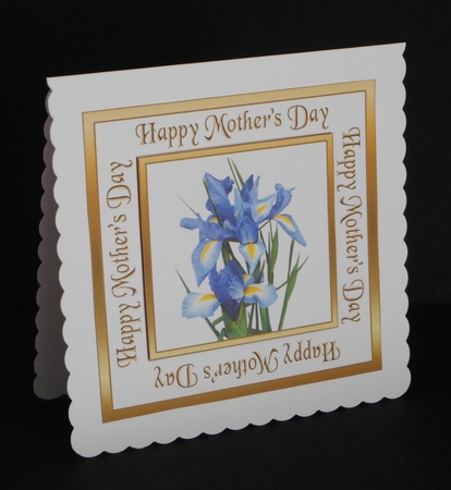 SC Irises (Mothers Day) by Joan Prince