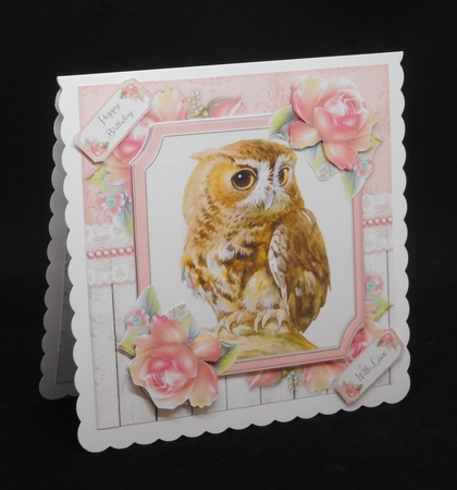 Beautiful Brown Owl  With Pink Roses 8x8 Mini Kit by Joan Prince