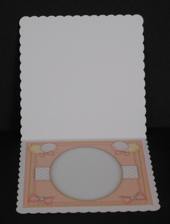 Blank Pink Insert  by Joan Prince