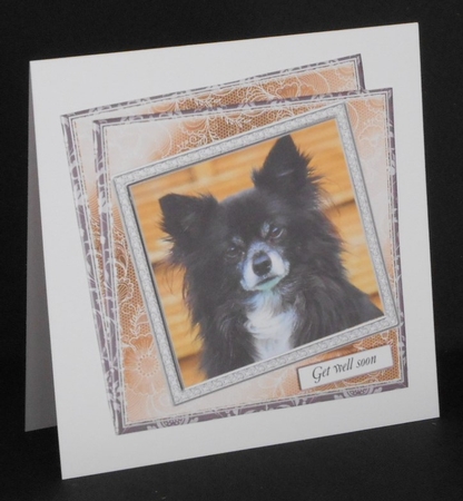 NEW STASH TOP UP LONG HAIRED CHIHUAHUA by Joan Prince