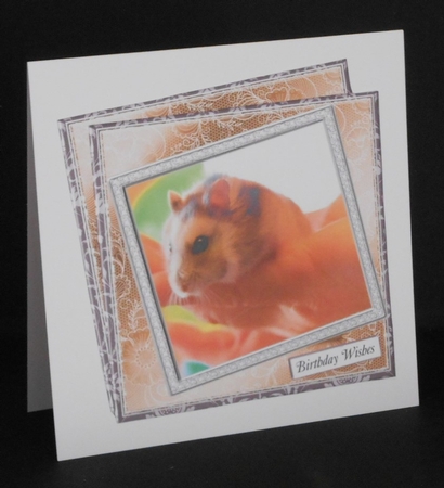 NEW STASH TOP UP HAMSTER by Joan Prince