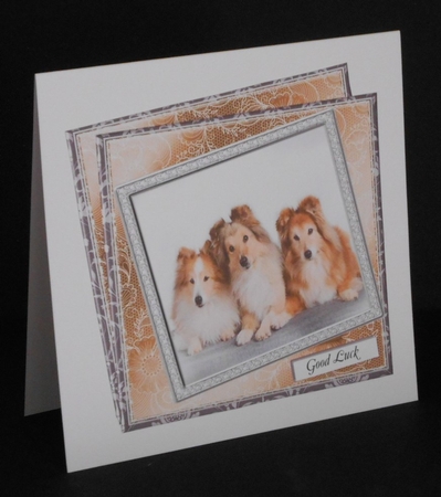 NEW STASH TOP UP COLLIES by Joan Prince
