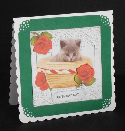 Topper & Insert Birthday Kitten by Joan Prince