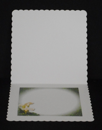 Trio Fancy Frame - Lily White by Joan Prince