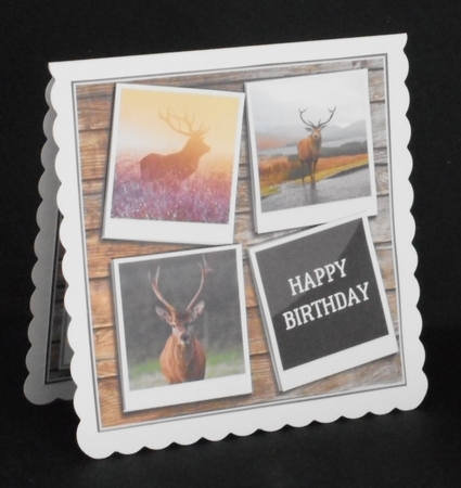 HIGHLAND DEER by Joan Prince
