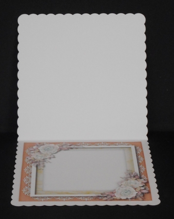 Blank Insert Pink by Joan Prince