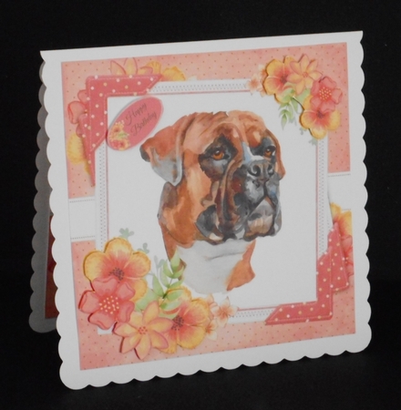 Adorable Boxer With Corner Flowers 8x8 by Joan Prince