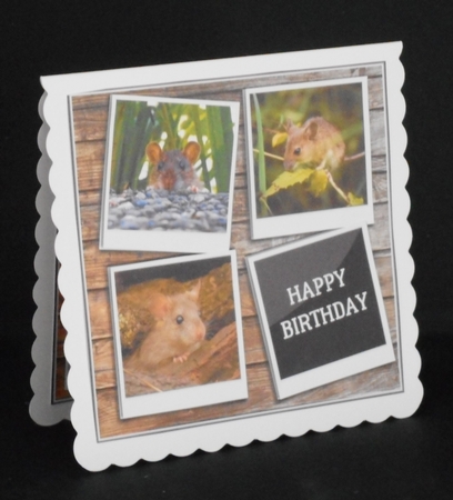 THREE CUTE MICE by Joan Prince