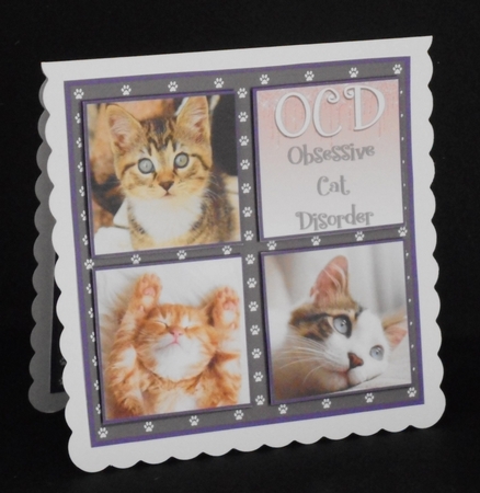 OBSESSIVE CAT DISORDER by Joan Prince