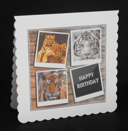 TIGERS 6X6 by Joan Prince