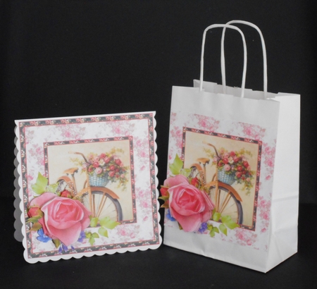 SC Bicycle & roses by Joan Prince