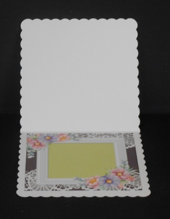 6 Lovely 7x7 Card Fronts of Cute Animals/Inserts Bumper Kit by Joan Prince