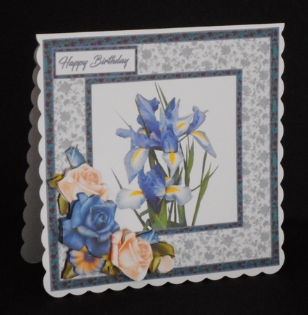 SC Blues Irises by Joan Prince