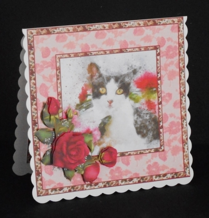 SC Kitty with roses by Joan Prince
