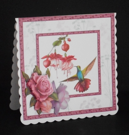 SC Hummingbird by Joan Prince