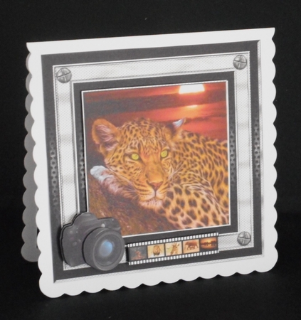 Dad 2-Leopard by Joan Prince