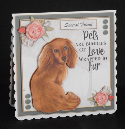 I Love Pets 1 by Joan Prince