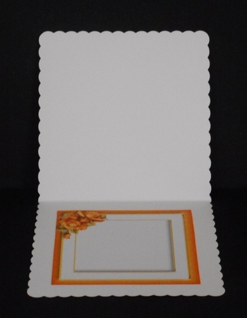Pretty Porcelain Roses - Orange by Joan Prince