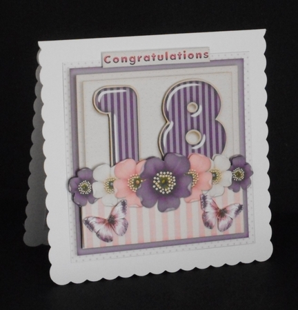 Addon Birthday Bumperkit 1293 18 & 21 male female  by Joan Prince