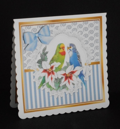 Pretty budgies on lace  with blue stripe/swirls and bow card front 8x8 by Joan Prince