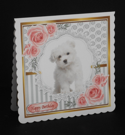 Pretty silver stripe/swirls /lace card front with white puppy pink roses 8x8 by Joan Prince