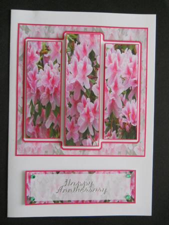 6x6" Stunning Rhododendron Pentanthera Blooms Panel Card by Joan Prince
