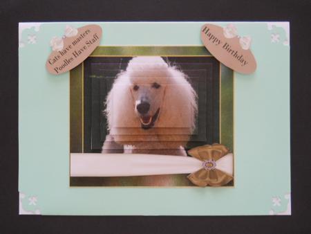 Cats Have Master Poodles Have Staff Happy Birthday by Joan Prince