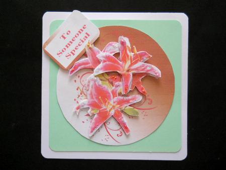 A Circle of Lilies by Joan Prince