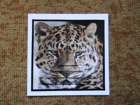 Lepard Pyramid by Joan Prince