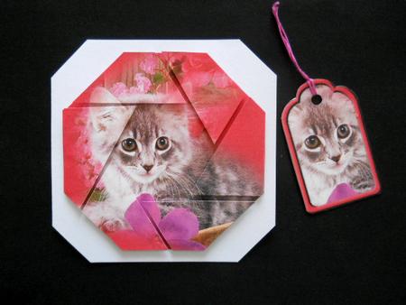 Cat with Flowers Octogan Camera Eye Stacker by Joan Prince
