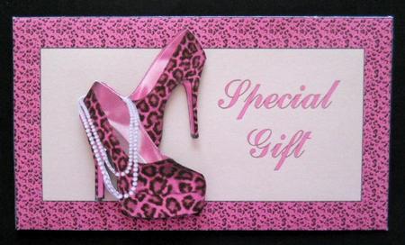 Pink Shoes to Die for Money Holder by Joan Prince