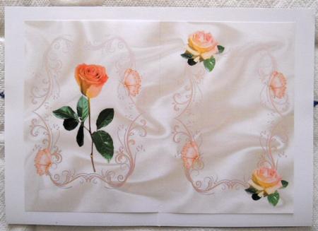 Peach Rose A5 Insert by Joan Prince