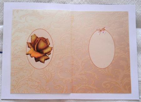 The Framed Burnished Rose Insert by Joan Prince