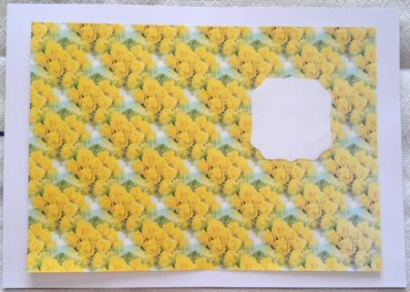 Golden Wedding Matching Backing by Joan Prince