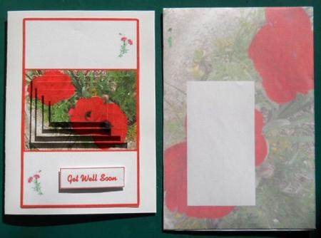 New Poppy by Joan Prince