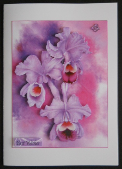 Pink Orchid by Joan Prince