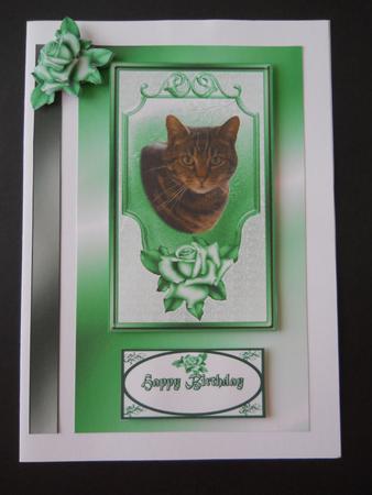Green Eyes by Joan Prince